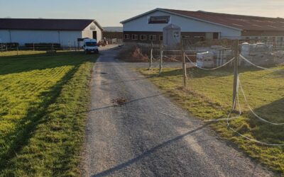 In Projektierung: Dachanlage Reiterhof – ca. 500 kWp